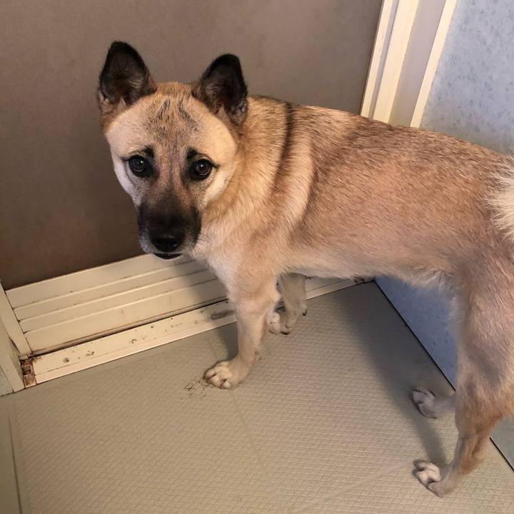 7a298858 1817 405e 9fad db55bdafe1ea 1542459778446