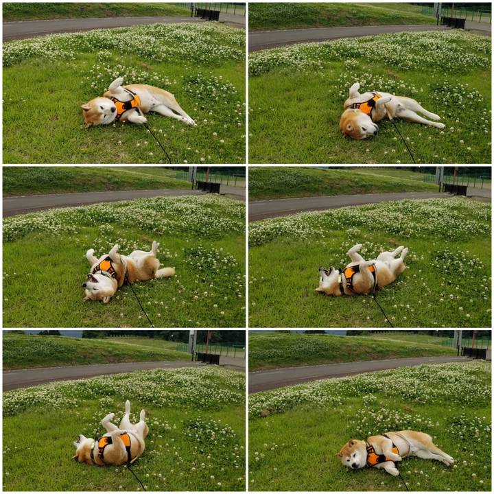 7a299e1b a3f1 4ca1 9e1e c3a00a686a74 1654930931101