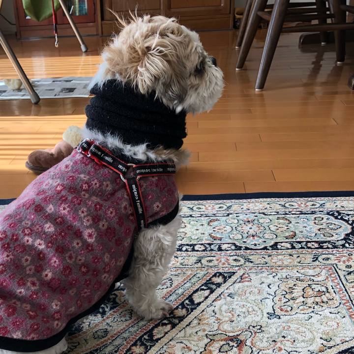 7a29bda8 fc7f 4a41 9976 31368119982a 1580766760552