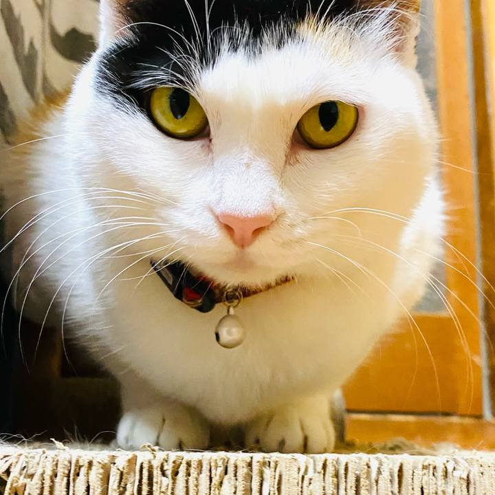 7a2a297d be44 4929 8d2d b61baf97c6b5 1673042851418