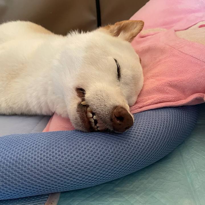 7a2a2e3c dbe6 49c3 990a e9ffa064b9b1 1660014973013