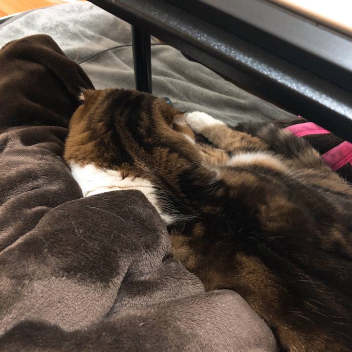 7a2a4506 a2be 4a0e b3c6 c19b8c95ffb9 1546014185649