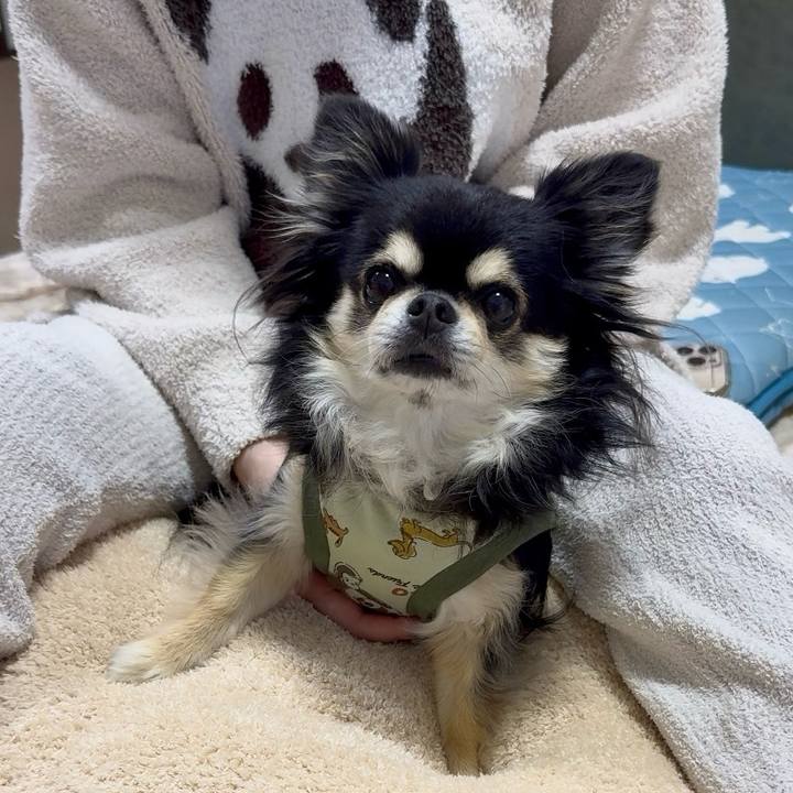 7a2a4c5e d9fe 458f 9520 5917674c78a6 1741953873863