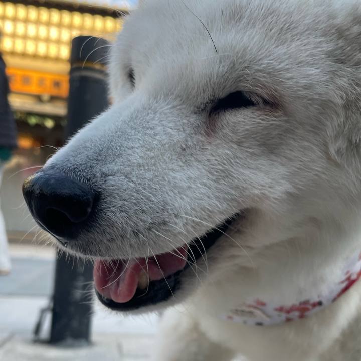 7a2a51ef 44ae 4acc b643 4d23e6191b7d 1763810765490