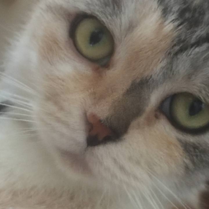 7a2a5390 ec92 408f 8bd6 ed012c3f5f19 1567947987623