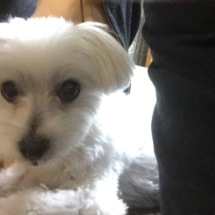 7a2a5fad 8b23 4786 b30e 06409f117468 1571559843715