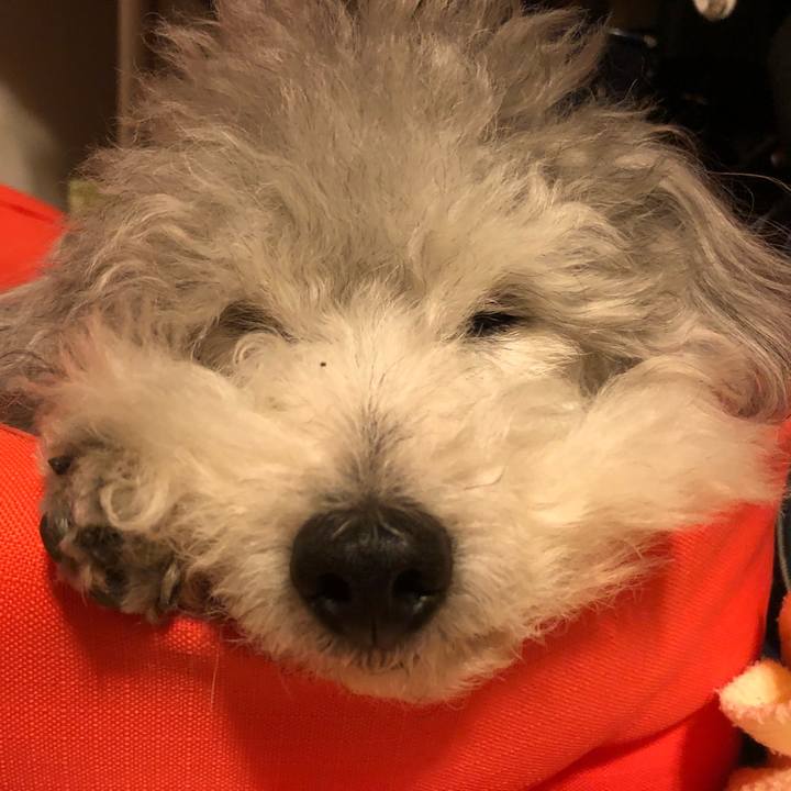 7a2ab63d f069 4cb1 b9dd ead5855fa9bb 1522462951735