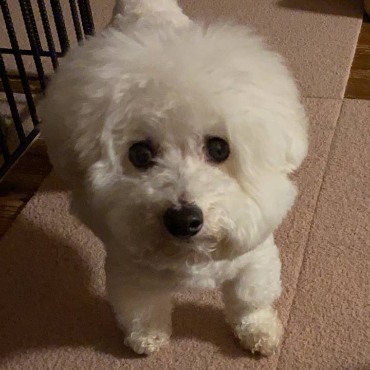 7a2acce2 f589 4241 be80 1203757c9fb8 1649677872330