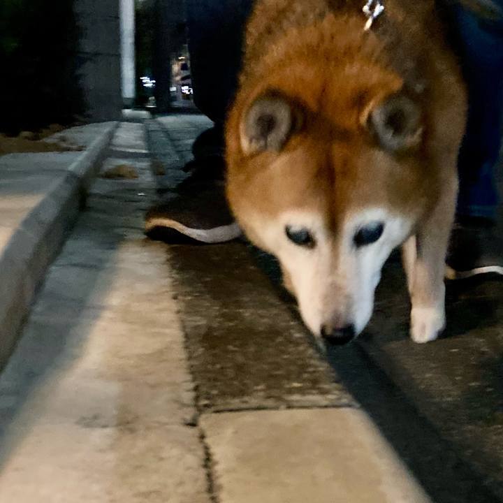 7a2ad6cf 63db 4007 909a 7d11dab37c6f 1698667312662