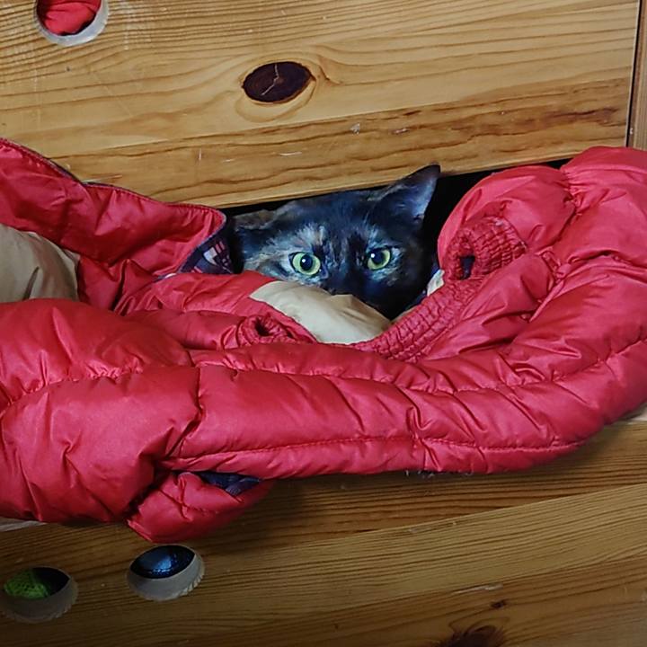 7a2b05b3 e02c 4114 9301 77e34b85050a 1640518237463