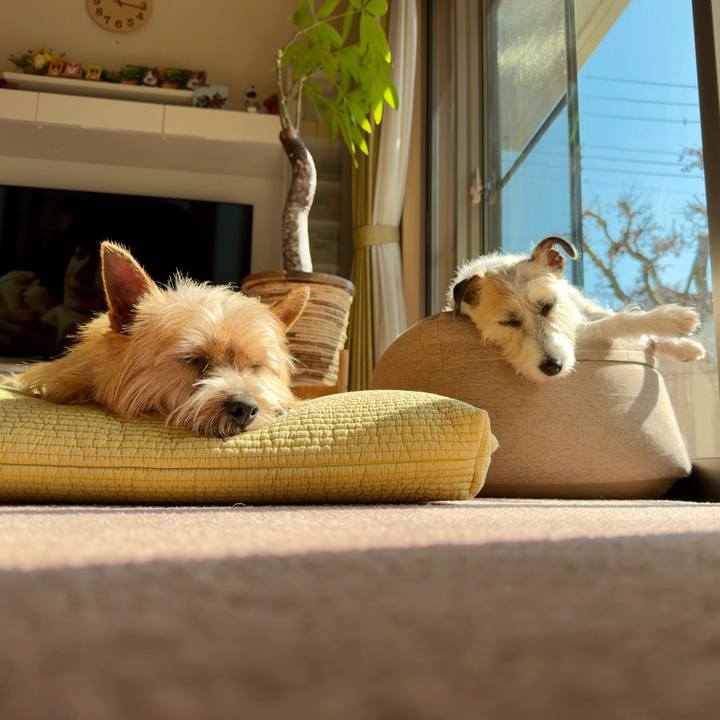 7a2b0ac6 d9dc 408a 8c59 02ab88135153 1771073662828