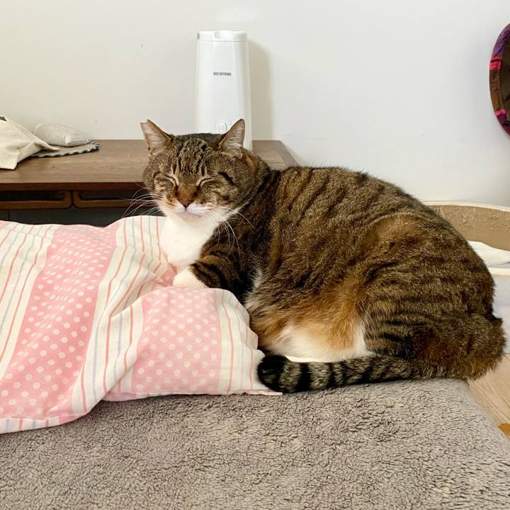 7a2b2cec 965f 4f63 a1aa 4d0bc127a678 1775453783975