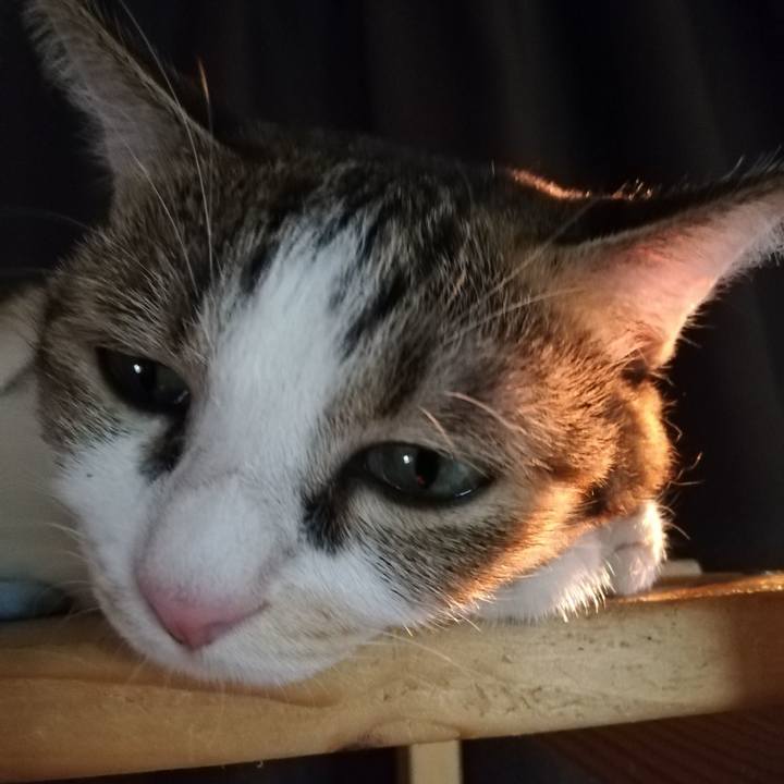 7a2b3a76 9156 4aed b6f7 8c1e4f560204 1599690526266