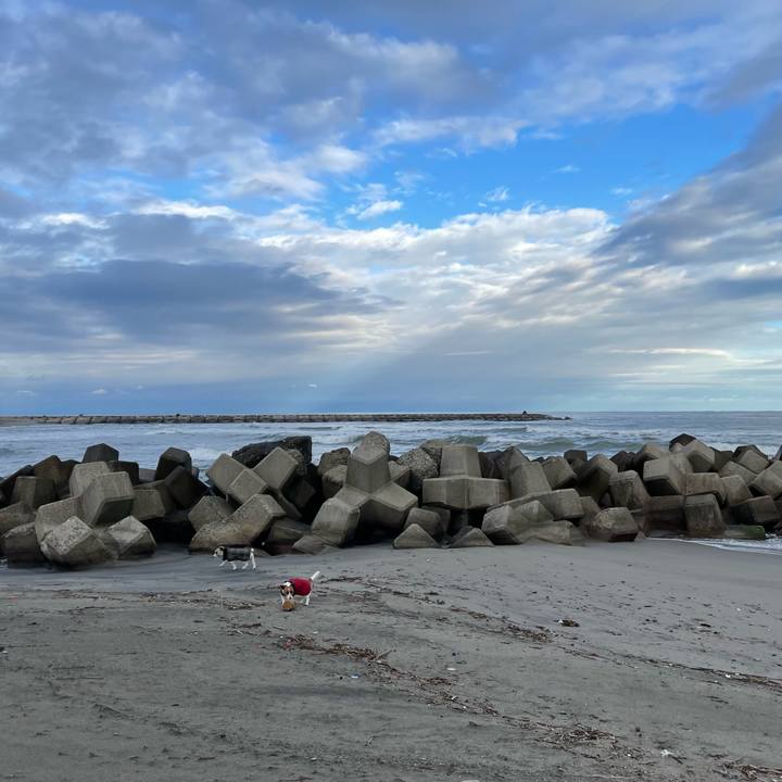 7a2b4acb 1a28 4dab a069 ce1c3e8a124b 1670284546051