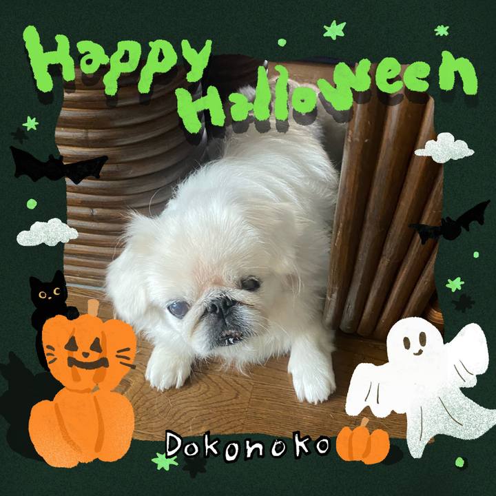 7a2b53b2 ddfb 40d9 a576 0495f68519fb 1729129677660