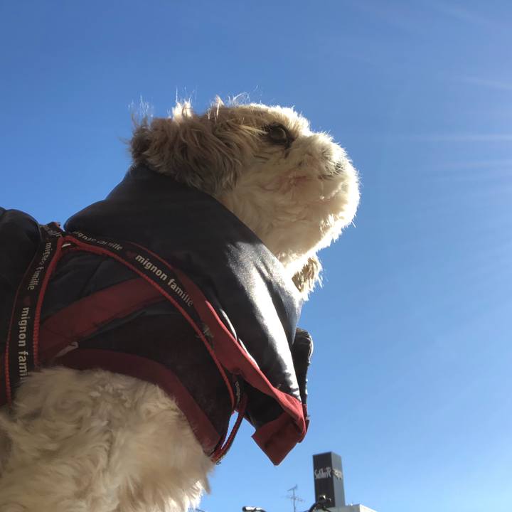 7a2b623e d36a 451c 9115 e32c1e8fc5fa 1548453060039