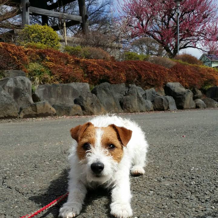 7a2b6345 64e3 49f3 b04b e93ba2342f29 1520663289238