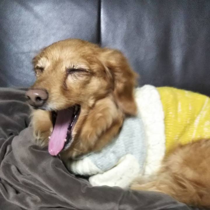 7a2bb472 6cb6 423b 8477 4b05daa6b228 1580643571643