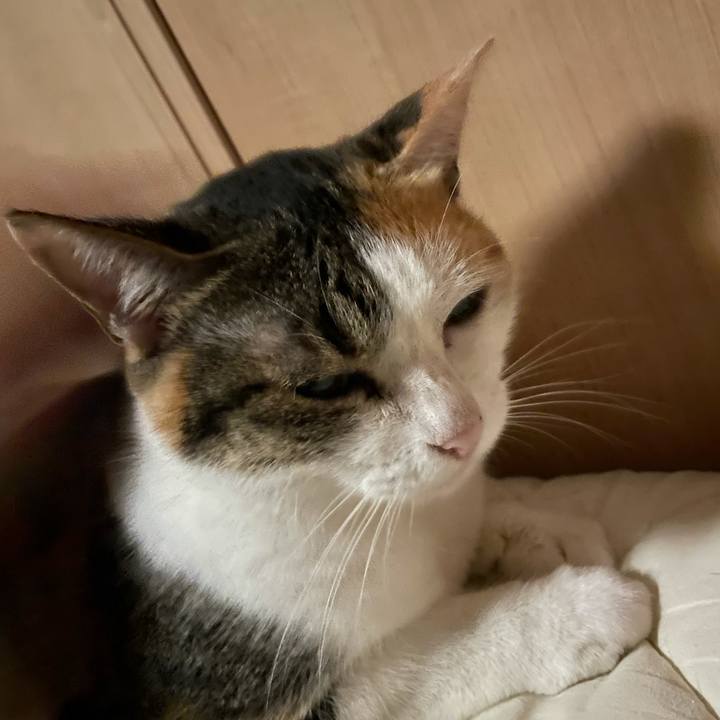 7a2bc176 3e16 43f3 964c cb9c0c68ec98 1629056569880