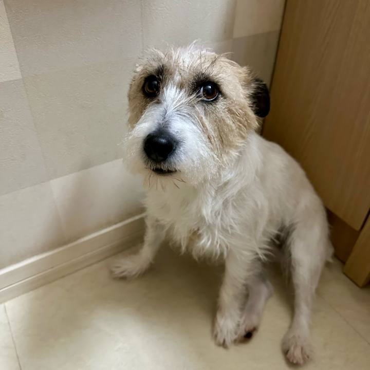 7a2be6f8 2ea8 467e bb6b d930ae75d629 1743476443110