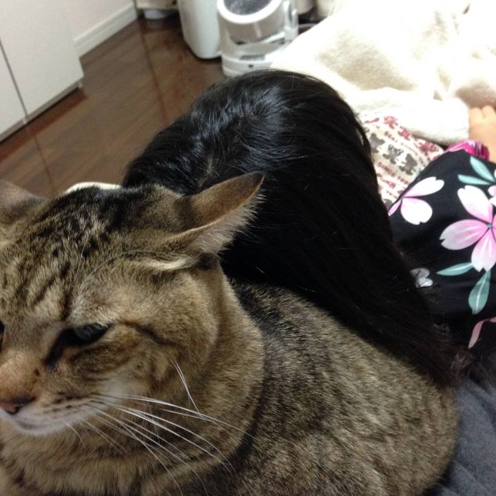 7a2c10b3 3d1c 474d 995b 48fa41cc12f7 1593300146215