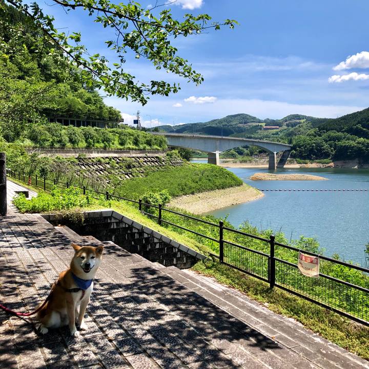 7a2c63d0 7992 4de8 8243 9190b0501fc1 1561453140094