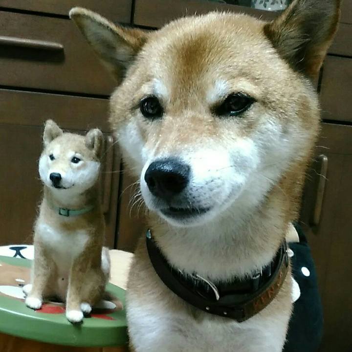 7a2c8f4a 7caa 4434 9d0d 105345e43c77 1566815011798