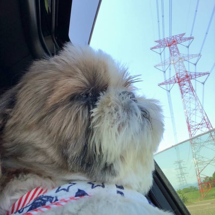 7a2cb731 92d4 4a51 809c 619118e43a10 1525494258039