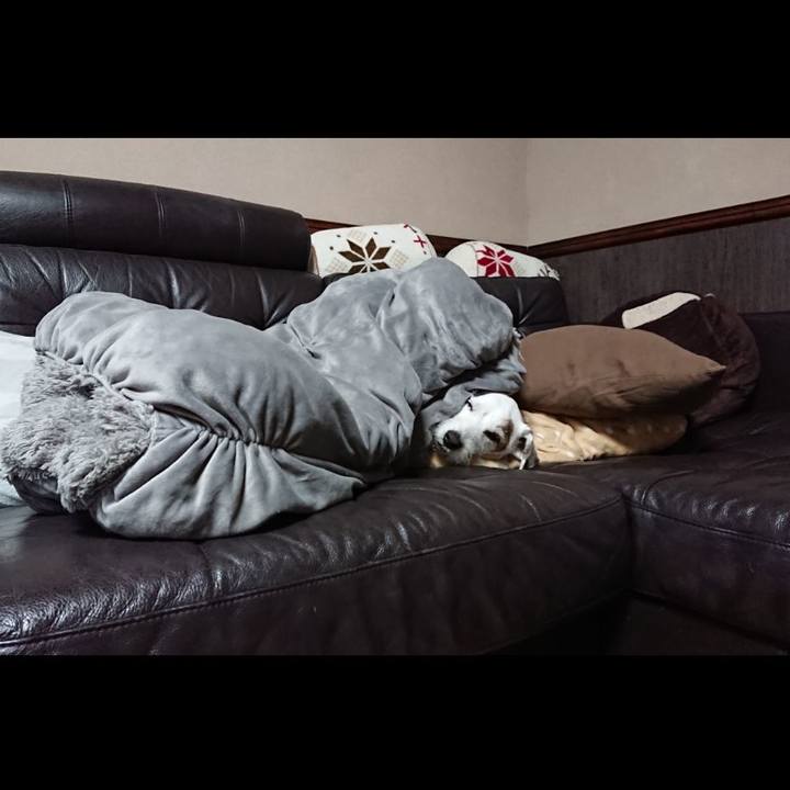 7a2ce81c 4a1a 42cc 8d6e 1a232664f984 1551830510698