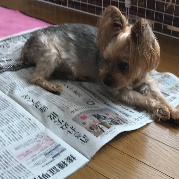 7a2d566e d0d9 455f 8378 dd1d5a478564 1628069574897