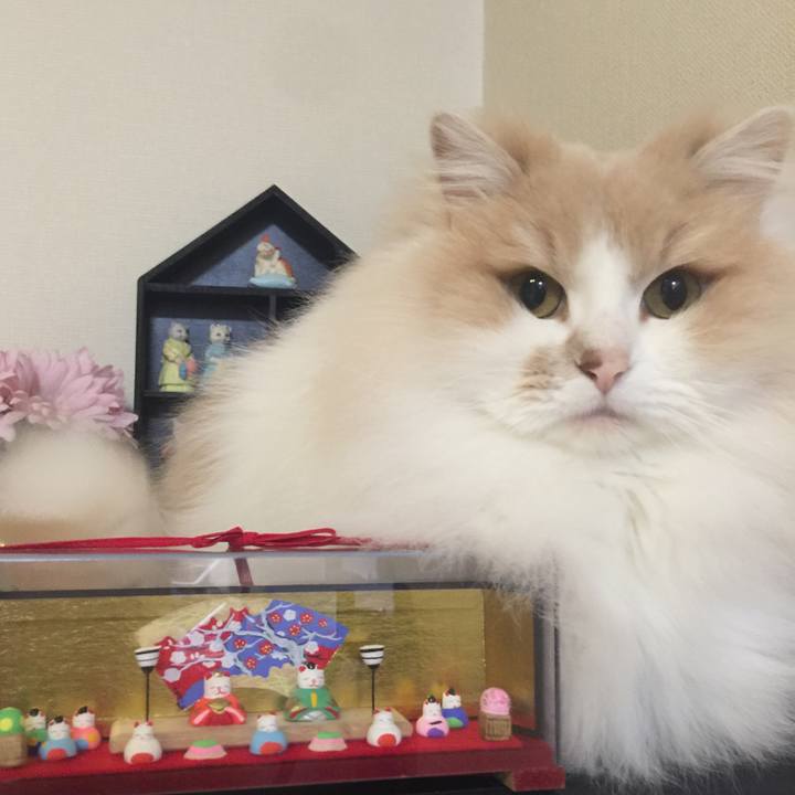 7a2d6c6d 90e6 48e9 83c1 4cf48e3f2cf1 1520034333992