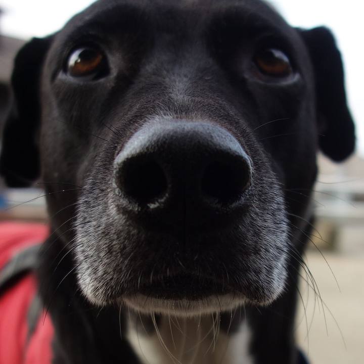 7a2d6f89 386c 4e26 ab42 27fdb618b051 1642900668986