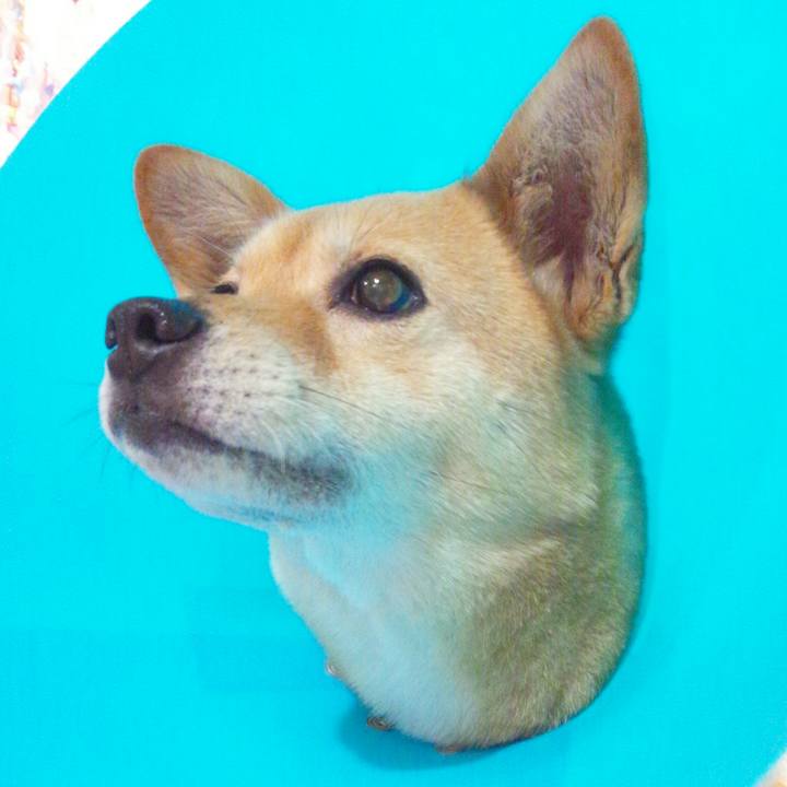 7a2d8341 3e62 4f41 b231 e40f46290879 1572697598769