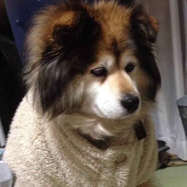 7a2d9420 f9d8 433b 81c9 5442aab3f227 1588937249534