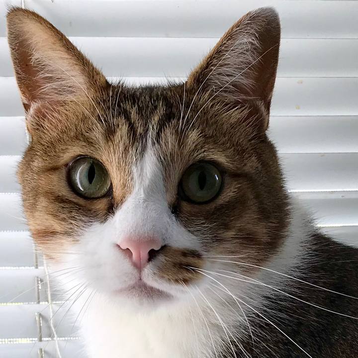 7a2d945d 8c37 4da1 80fa 5e3bb303b413 1536383929297