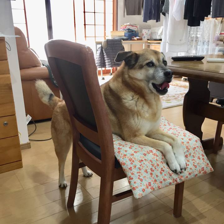 7a2dbba4 4b13 47a7 88b8 a1f2be515893 1584441108913