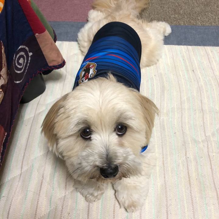 7a2dd58e b993 4d7a b6e1 6edd26ec866e 1530545788891