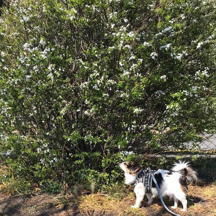 7a2df3c2 26d2 4224 9224 a06ae1606232 1552532234721