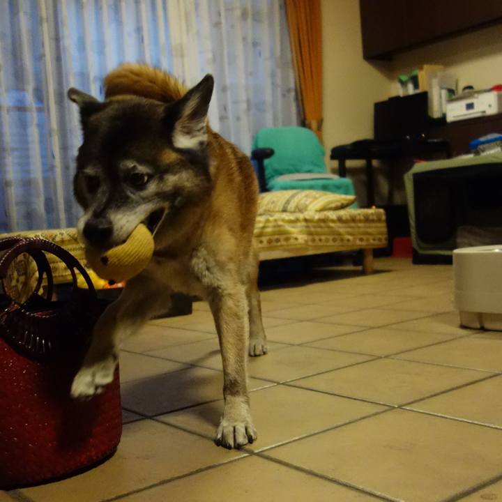 7a2e18cf 428d 4890 84b1 a91237c83ba3 1531921077942