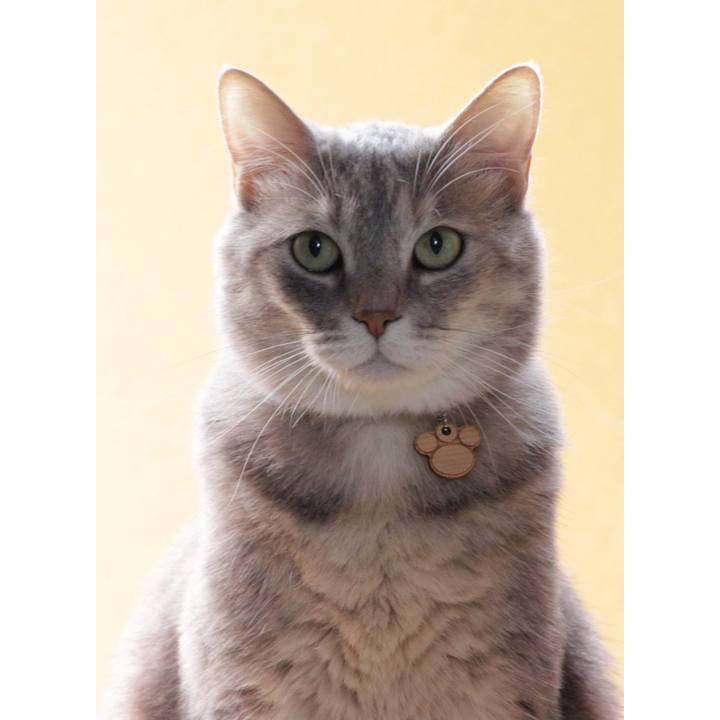 7a2e5173 4b4e 4263 860e 89d156d0fec4 1622274529508