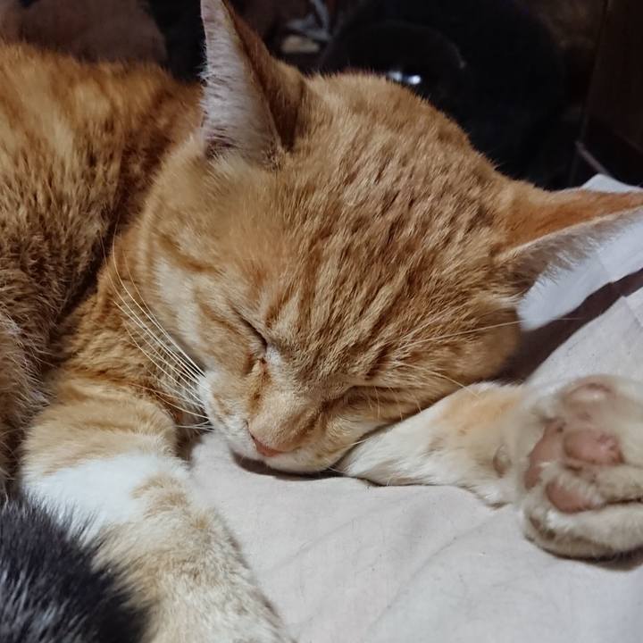 7a2e5adb f730 4d18 94e3 3f07cbf27ab7 1586868639337