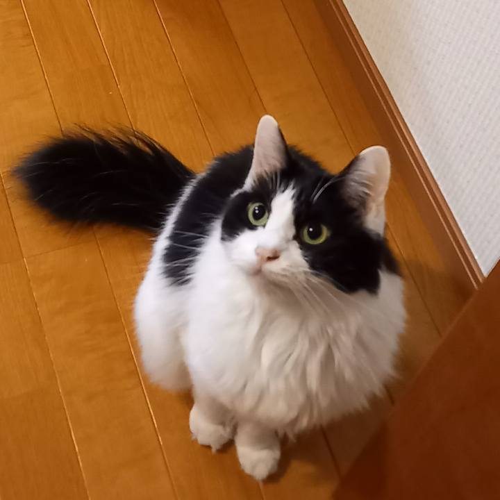 7a2e7bdd 8086 4adf 9348 0a69040c3d63 1666912048126