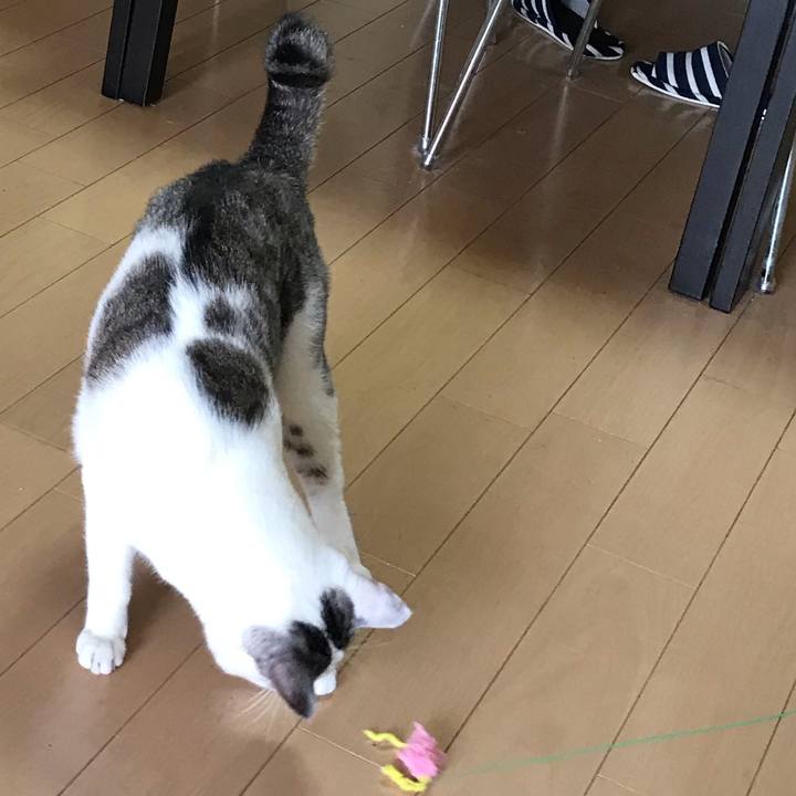 7a2ea1a9 100e 4da3 9e91 758135d2b7b1 1573291649280