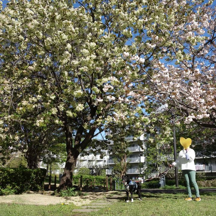 7a2eafb8 40f7 44ee 8547 0faf55b99a9e 1744763238819