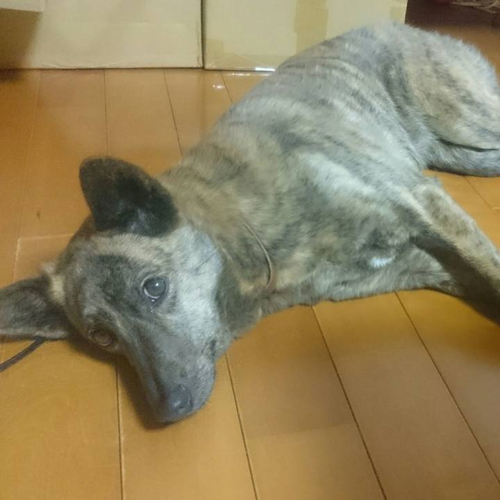 7a2eb3af 341b 4b7d 80be 594bc773b084 1519552110419