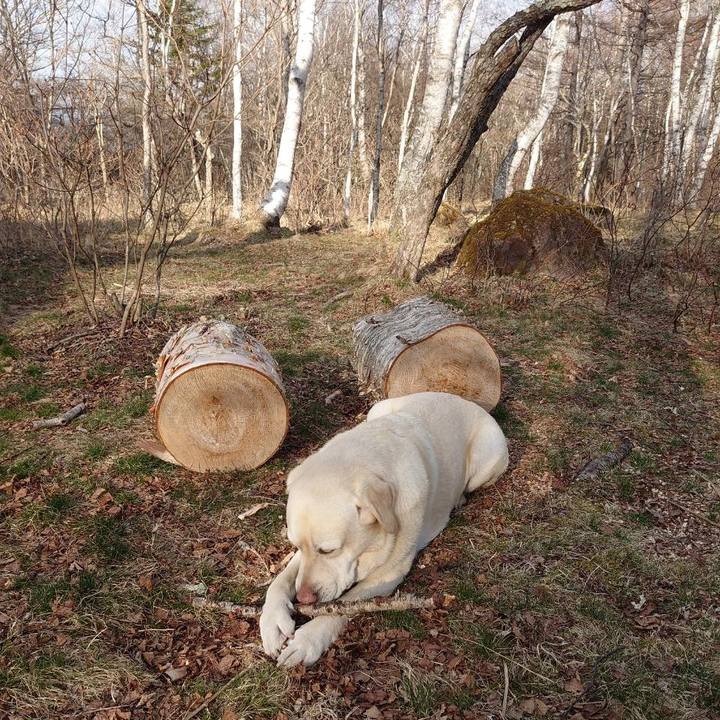 7a2eb76b 6c43 47d4 b02f 1659f19c6ba6 1680954250452