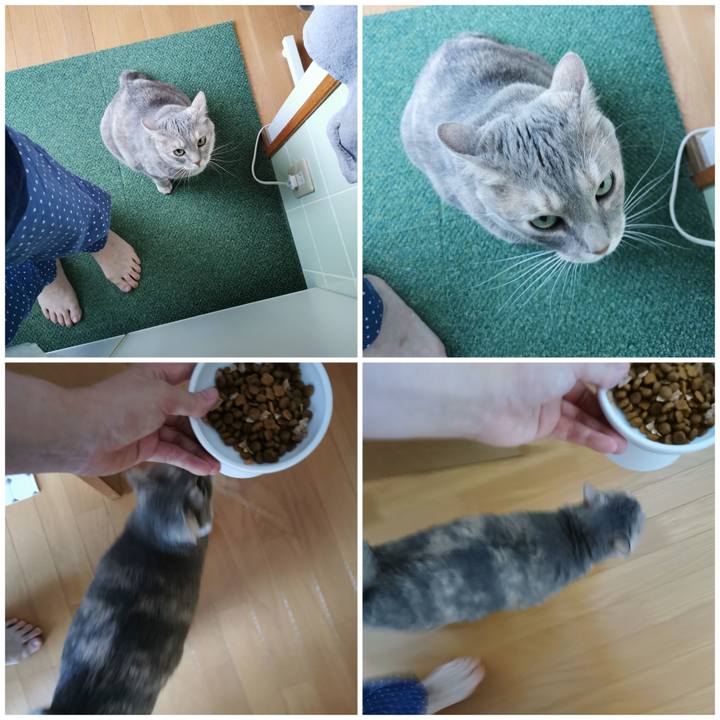 7a2ed8dd 3618 4f21 93b7 6183967fc60d 1659497682522