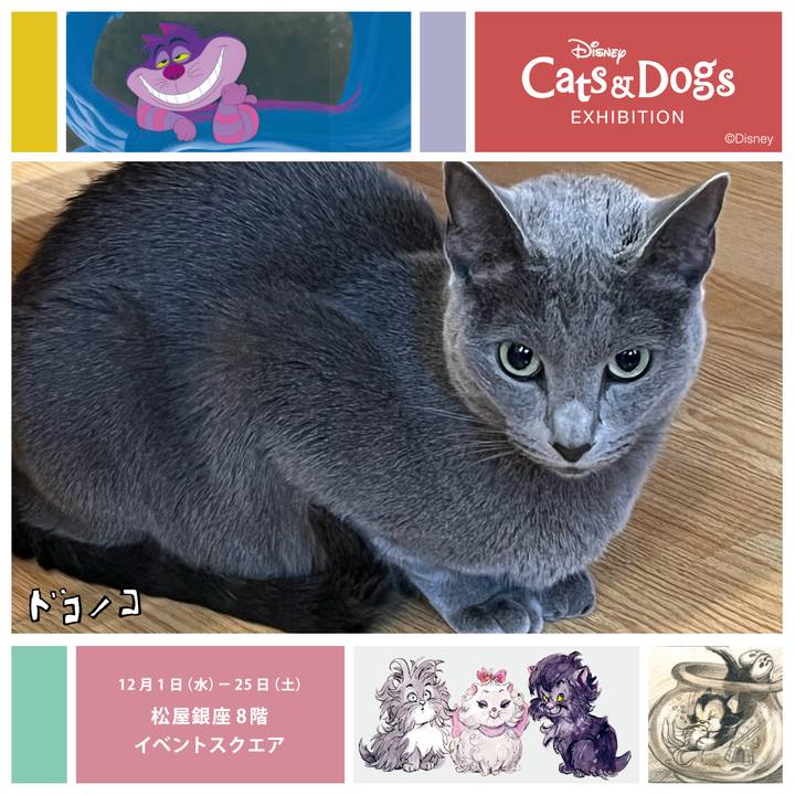 7a2edbad d96c 4ea0 9826 2f643439b40d 1638407346775