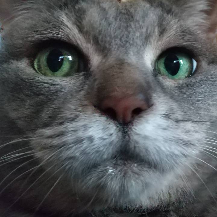 7a2f0173 d066 4dde 8e55 d63a8754ed75 1626822600939