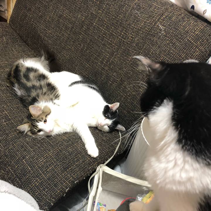 7a2f0eae d90e 43ea af30 ff0f8f4e0d9c 1517405317981